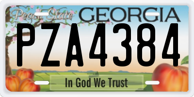 GA license plate PZA4384