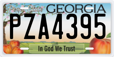 GA license plate PZA4395