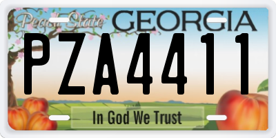 GA license plate PZA4411
