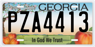 GA license plate PZA4413