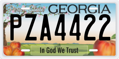 GA license plate PZA4422