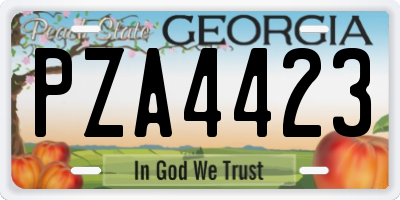 GA license plate PZA4423