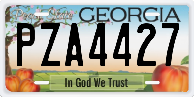 GA license plate PZA4427