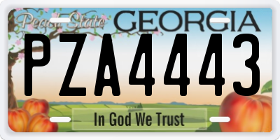 GA license plate PZA4443