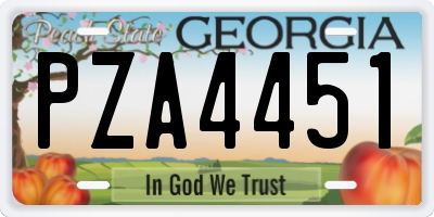GA license plate PZA4451
