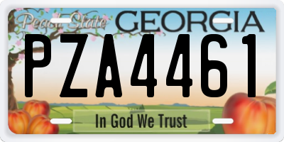 GA license plate PZA4461
