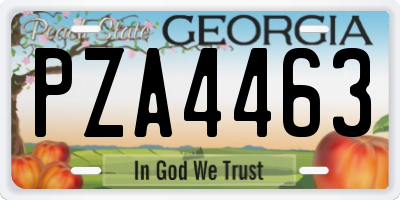 GA license plate PZA4463