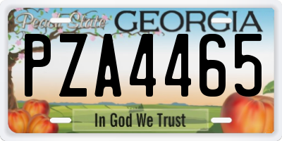 GA license plate PZA4465