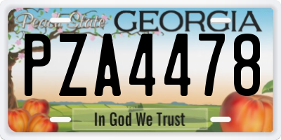 GA license plate PZA4478