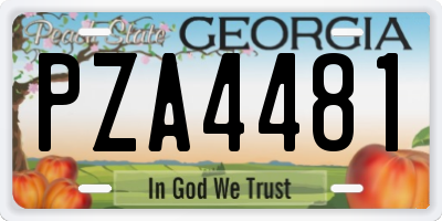 GA license plate PZA4481