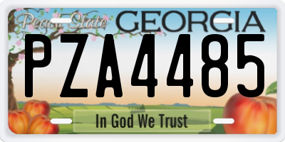 GA license plate PZA4485