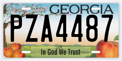 GA license plate PZA4487