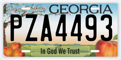 GA license plate PZA4493