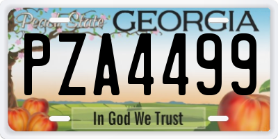 GA license plate PZA4499