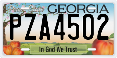 GA license plate PZA4502