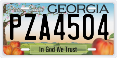 GA license plate PZA4504