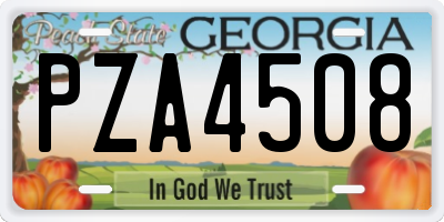 GA license plate PZA4508