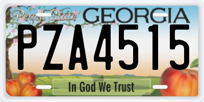 GA license plate PZA4515