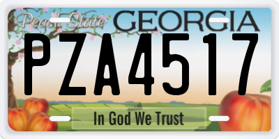 GA license plate PZA4517