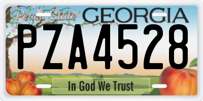 GA license plate PZA4528