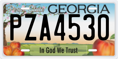 GA license plate PZA4530