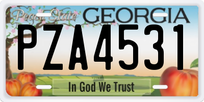 GA license plate PZA4531