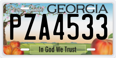 GA license plate PZA4533