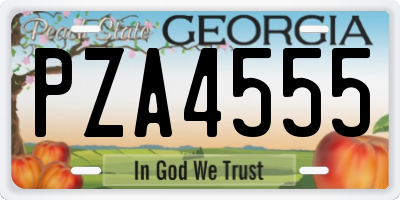 GA license plate PZA4555