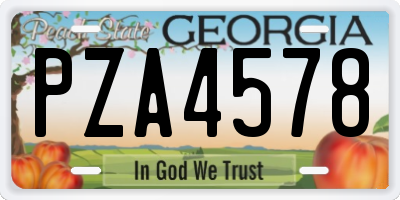 GA license plate PZA4578