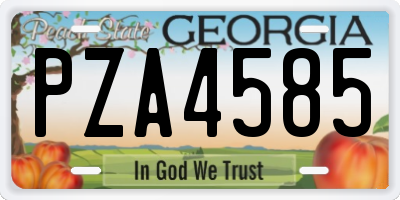 GA license plate PZA4585