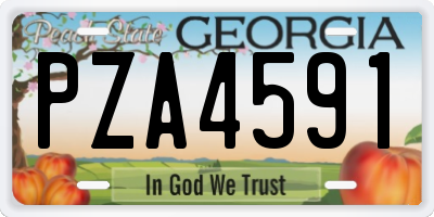 GA license plate PZA4591