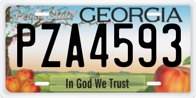 GA license plate PZA4593