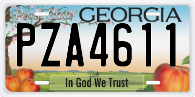 GA license plate PZA4611