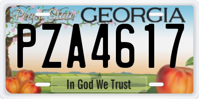 GA license plate PZA4617
