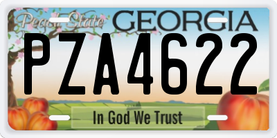 GA license plate PZA4622