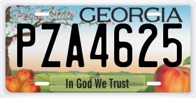 GA license plate PZA4625