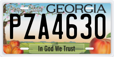 GA license plate PZA4630