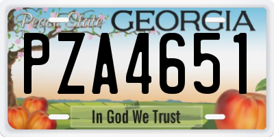 GA license plate PZA4651