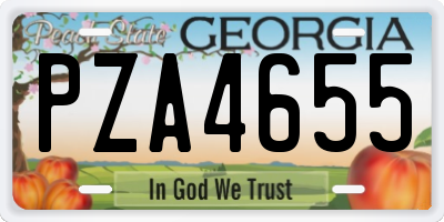GA license plate PZA4655