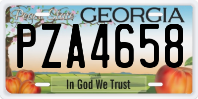 GA license plate PZA4658
