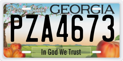 GA license plate PZA4673