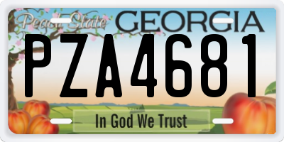 GA license plate PZA4681
