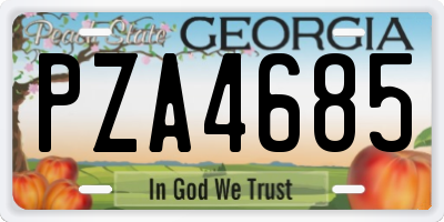 GA license plate PZA4685
