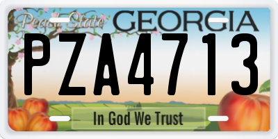 GA license plate PZA4713