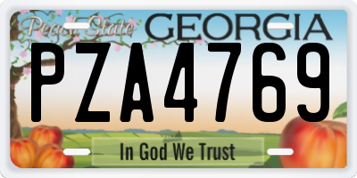 GA license plate PZA4769