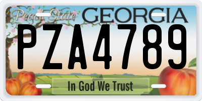 GA license plate PZA4789