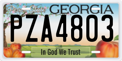GA license plate PZA4803