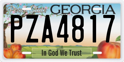 GA license plate PZA4817