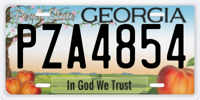 GA license plate PZA4854