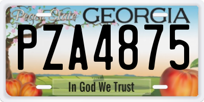 GA license plate PZA4875